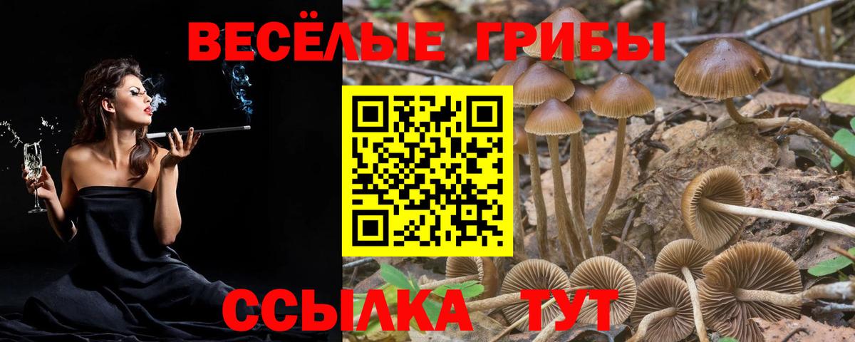 Псилоцибиновые грибы GOLDEN TEACHER Элиста