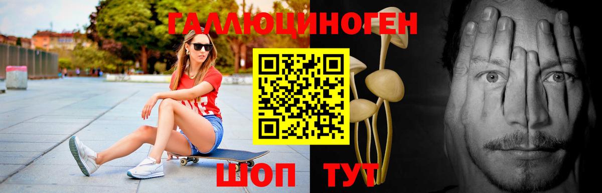 Галлюциногенные грибы Psilocybe  Вход с VPN  где купить наркоту  Элиста 